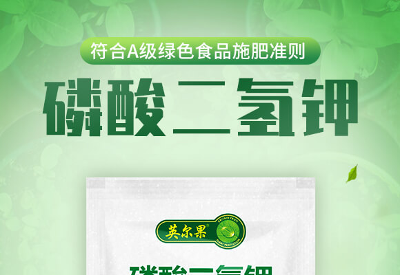 400g��������-Ӣ����_01