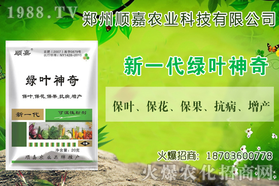 С���r(ji��)���B�B�ϝq���F(xi��n)��һ������X(qi��n)��