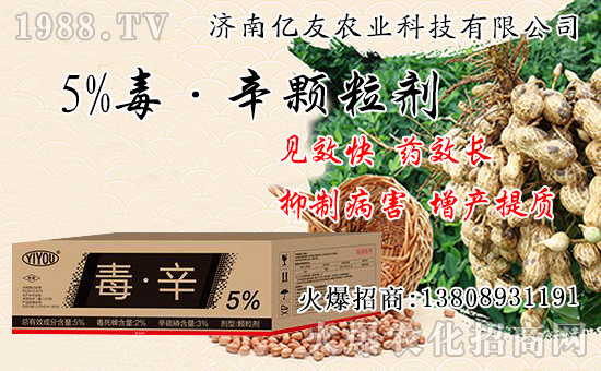 �������Ժʹ�����ʲô��ͬ���������԰˴��P(gu��n)�IҪ�c(di��n)��