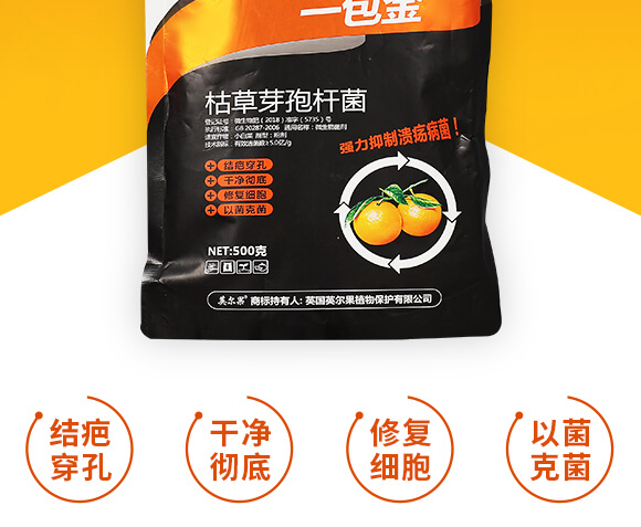 �ݲ�ѿ�ߗU��-һ����-Ӣ����_02