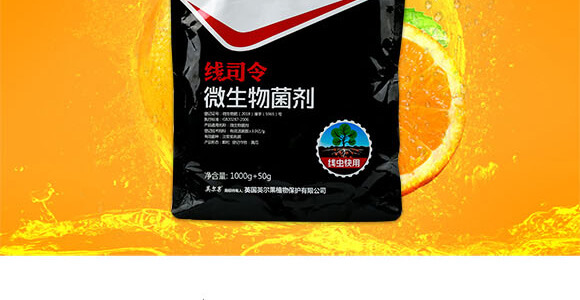 ���x����΢�������-��˾��-Ӣ����_02