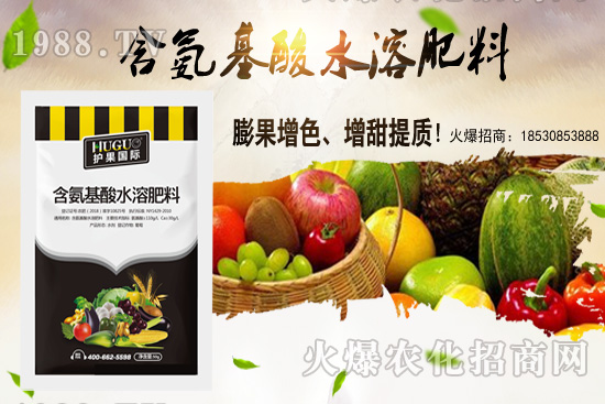 蕓豆適合在什么季節(jié)栽培？蕓豆如何進(jìn)行種植？