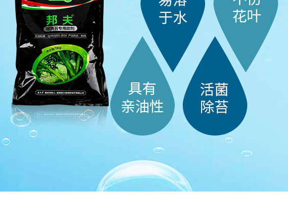 ����̦��(zhu��n)������-���-Ӣ����_05