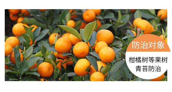 ����̦��(zhu��n)������-���-Ӣ����_06