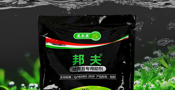 ����̦��(zhu��n)������-���-Ӣ����_02