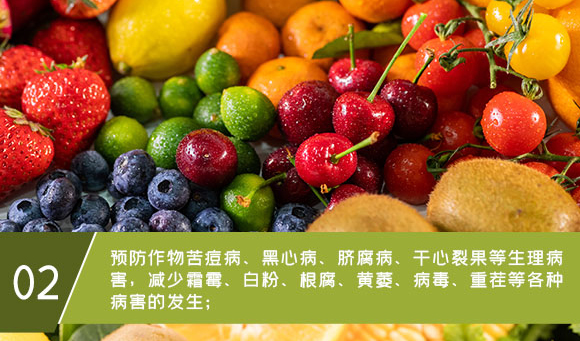 �}�V�\���F-Ӣ����_06