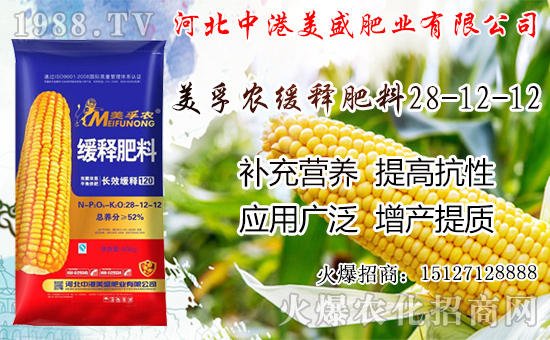 �O���������������ô�������O�������ڼ���ժ�������