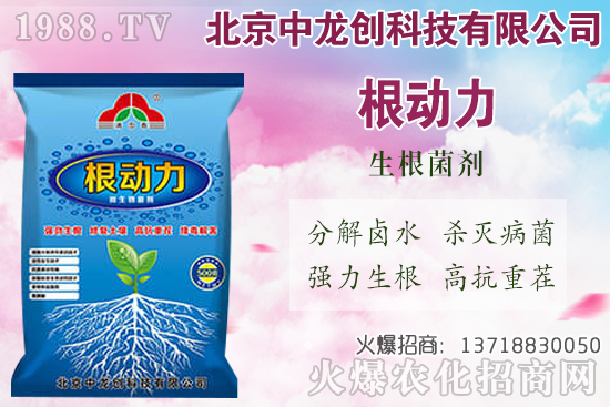 ���}���������������Щ�����}��ʩ�ʼ��g(sh��)Ҫ�c(di��n)��