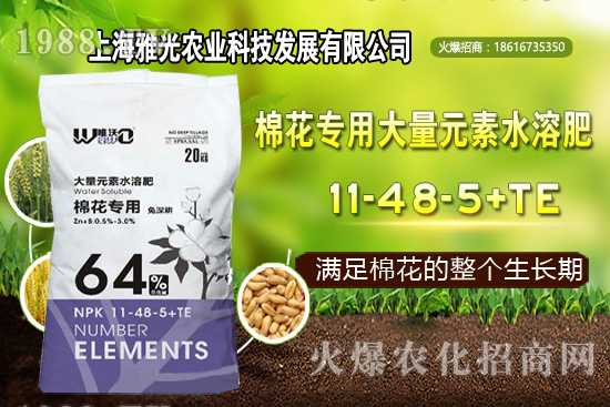 ��ʲô�r(sh��)��Nֲ�������༼�g(sh��)Ҫ�c(di��n)��