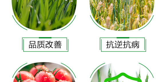 500ml��������ˎ��-������-�t��(l��)_06