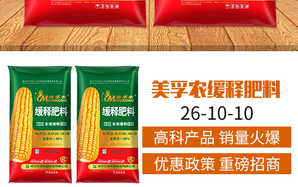 �����r(n��ng)��ጷ���26-10-10-�и���ʢ_03