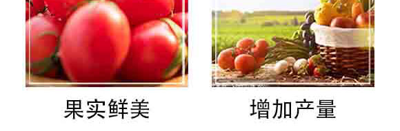 ���S���ЙC�o�C���B(t��i)�ʣ����ߌ��ã�-�и���ʢ_06