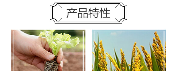 �����r(n��ng)��ጷ���26-10-10-�и���ʢ_04