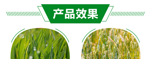 500ml��������ˎ��-������-�t��(l��)_05