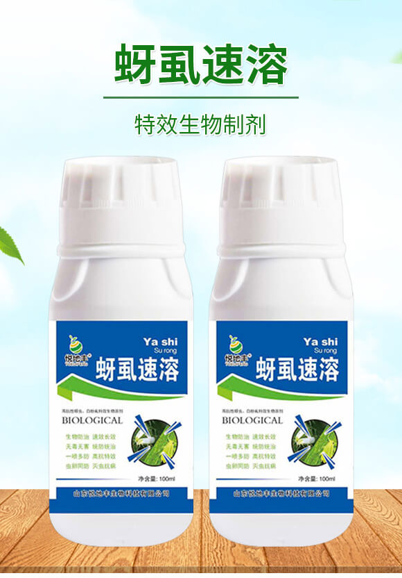 �����Ƅ�-��ʭ����-�����S����_01