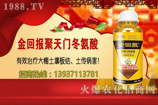 ���w�������cС�w����ɶ��ͬ������ԓ�x��һ�N��