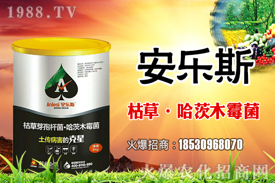 小麥種子是購買還是自留?小麥自留種子需要注意哪些內(nèi)容?