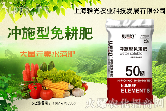 �������L��Ҫ���x������Щ�����Ѳ��x�����Gɫ���ؼ��g��