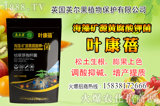 ��ô�Д����׺�ˮ��������������ˮ���й��ж���(j��ng)���