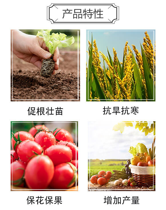 꿾�-�����Sͨ�ú�_04