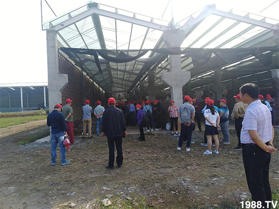 水溶肥市場(chǎng)大變革。亢T寰、魚蛋白將被它代替!1000多用戶鼎力推薦!