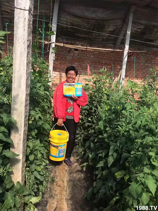 水溶肥市場(chǎng)大變革?海藻精、魚蛋白將被它代替!1000多用戶鼎力推薦!