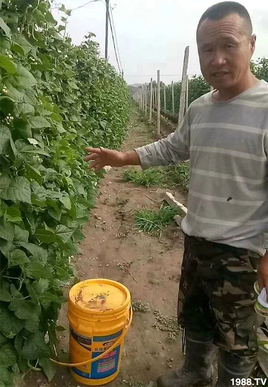 水溶肥市場(chǎng)大變革。亢T寰、魚蛋白將被它代替!1000多用戶鼎力推薦!