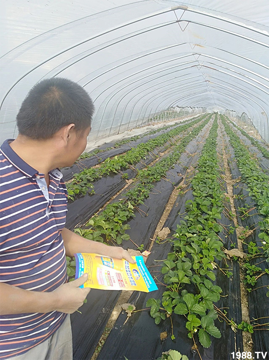 水溶肥市場(chǎng)大變革?海藻精、魚蛋白將被它代替!1000多用戶鼎力推薦!