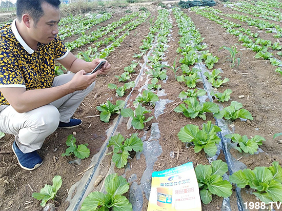 水溶肥市場(chǎng)大變革?海藻精、魚蛋白將被它代替!1000多用戶鼎力推薦!