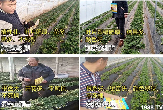 水溶肥市場(chǎng)大變革?海藻精、魚蛋白將被它代替!1000多用戶鼎力推薦!