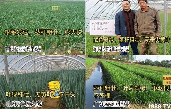 水溶肥市場(chǎng)大變革?海藻精、魚蛋白將被它代替!1000多用戶鼎力推薦!