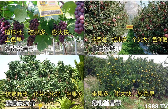 水溶肥市場(chǎng)大變革?海藻精、魚蛋白將被它代替!1000多用戶鼎力推薦!