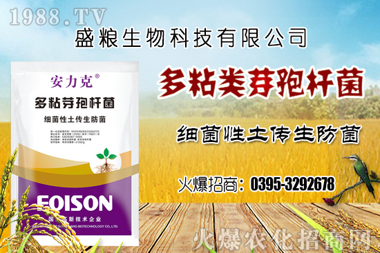 ܇?y��n)��ӷNֲ�h(hu��n)��Ҫ�����Ď��c(di��n)��܇?y��n)������N�x�����N�׷N��