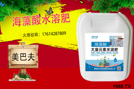 海藻肥具有哪些作用?與傳統(tǒng)肥料相比有何優(yōu)勢?