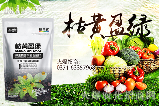 ʮ�¼������������r�ܝq������9��29��С���r���߄ݣ�