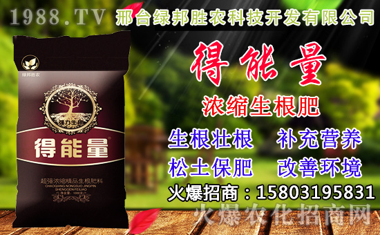 2020��С���N������x���߮a(ch��n)С��Ʒ�N����Щ��