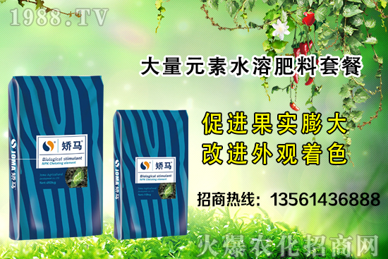 �＾����ʩ�ʵĺ�̎����Щ���＾����ʩ��ָ��(d��o)������