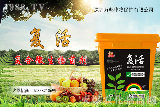 ���������ԷN������M(j��n)�й�������ʲô����Ҫ�c(di��n)��