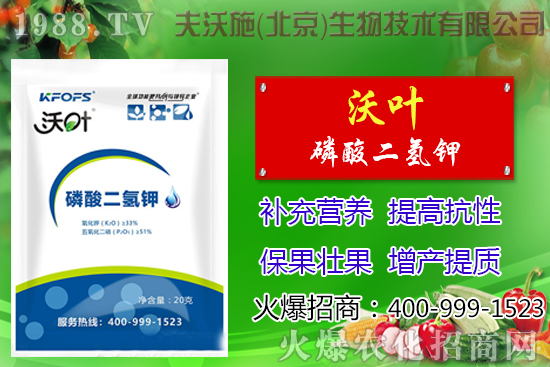 ���t��ժ�~����Щ��̎������ժ�~���g(sh��)��ע�������