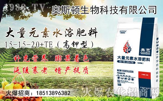 С���r���������ϝq��������������С���r��