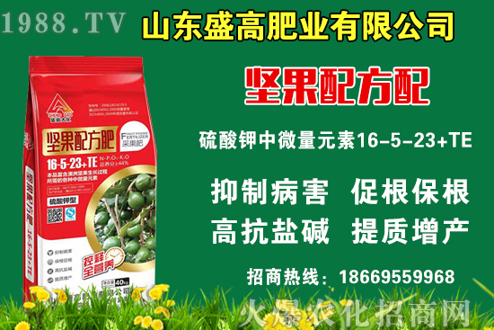 小麥價格還要上漲嗎？9月9日國內(nèi)小麥價格行情！