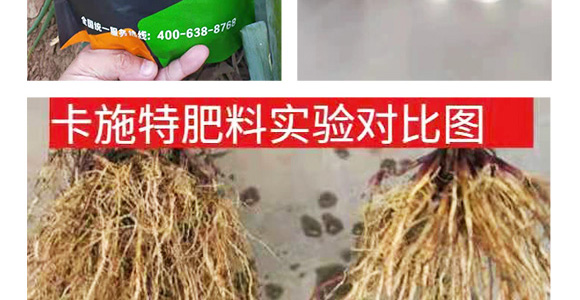 �VԴ�S�����-��ʩ��_11