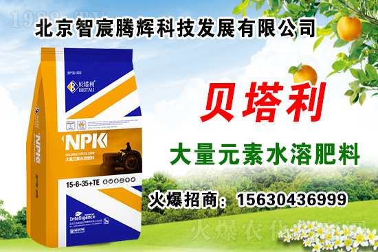 2020年種什么藥材能賺錢?種植藥材有補貼嗎?哪些藥材有種植前景?