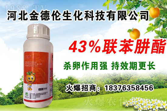 溫室早春茬辣椒育苗應(yīng)注意哪些問題