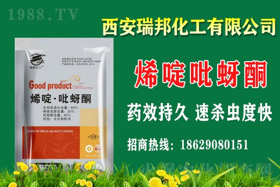     2021��1��20�մ󶹚��x���r������