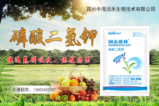 ����һ���굽��ԓ��ôʩ��������ʩ��ע���������Щ��