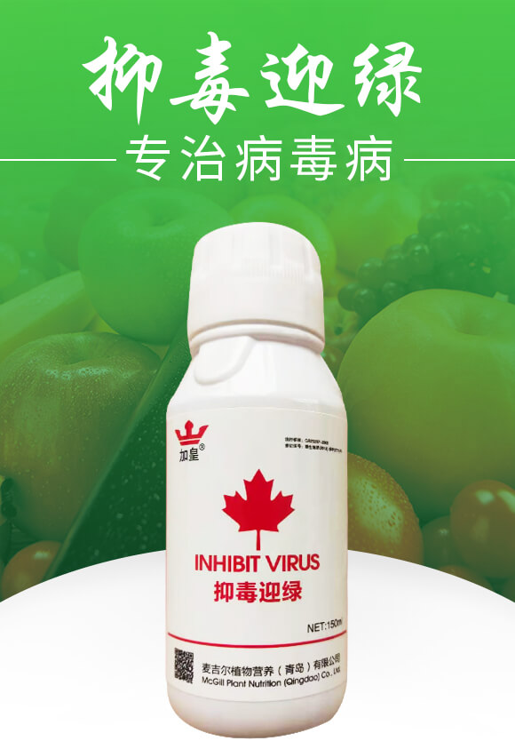 抑毒迎綠（專(zhuān)治病毒?。?綠肥_01