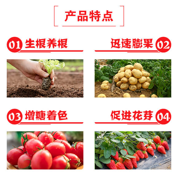 ���������÷�-������-һ������_03