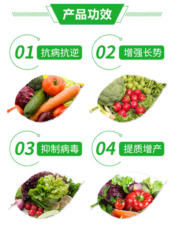 抑毒迎綠（專(zhuān)治病毒?。?綠肥_03