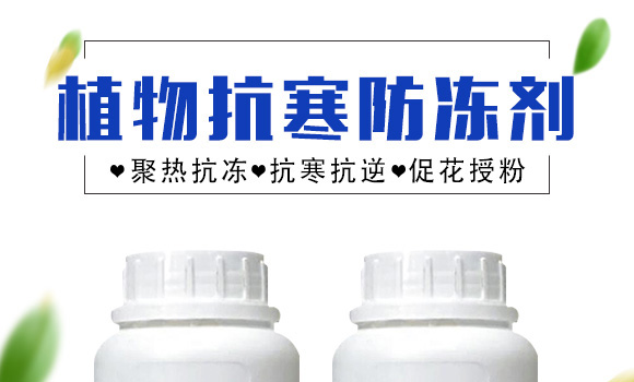 ֲ�￹��������-Ӣ���~��_01